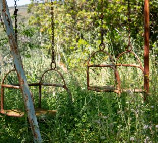 a swing set in a yard