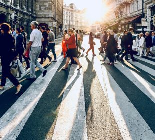 group of people walking on pedestrian lane